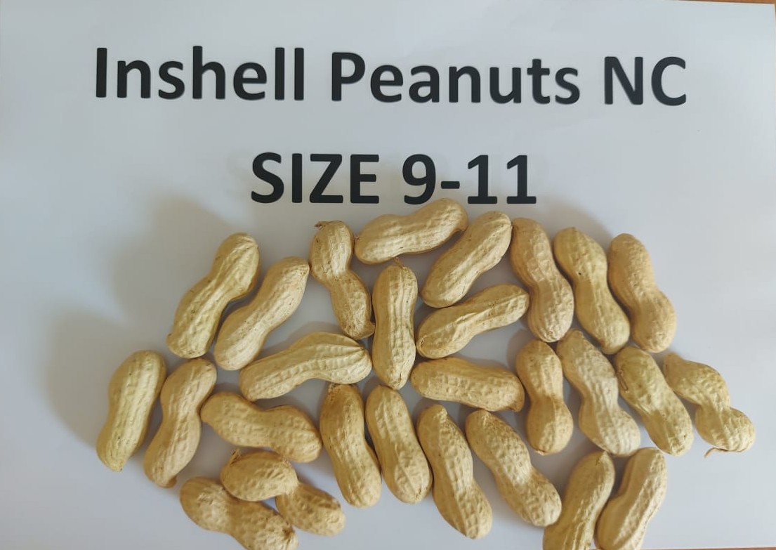 WhatsApp Image 2026-01-14 at 10.06.00 AM