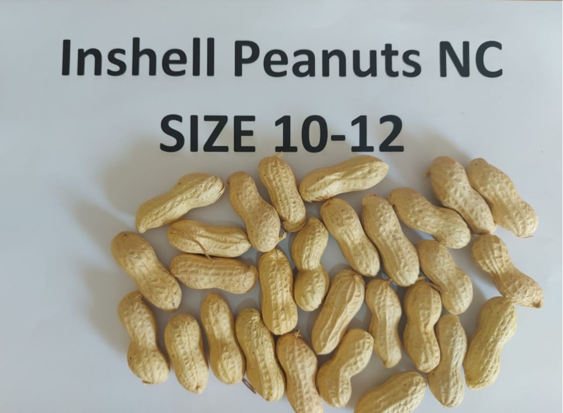 WhatsApp Image 2026-01-14 at 10.06.00 AM