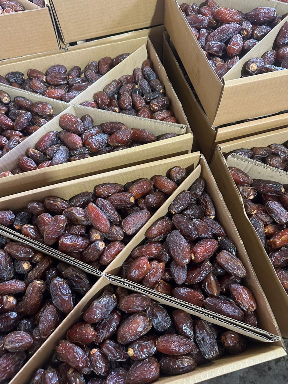 WhatsApp Image 2026-01-18 at 12.09.02 PM (2)