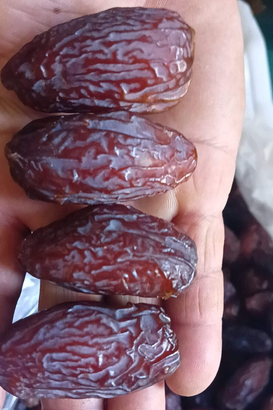 WhatsApp Image 2026-01-18 at 12.09.02 PM (3)