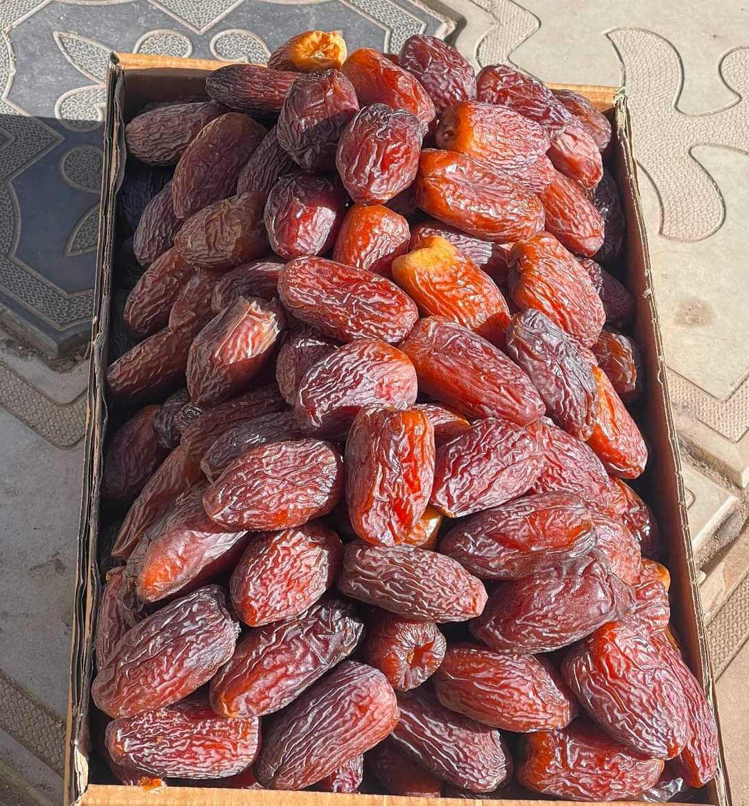 WhatsApp Image 2026-01-18 at 12.09.03 PM