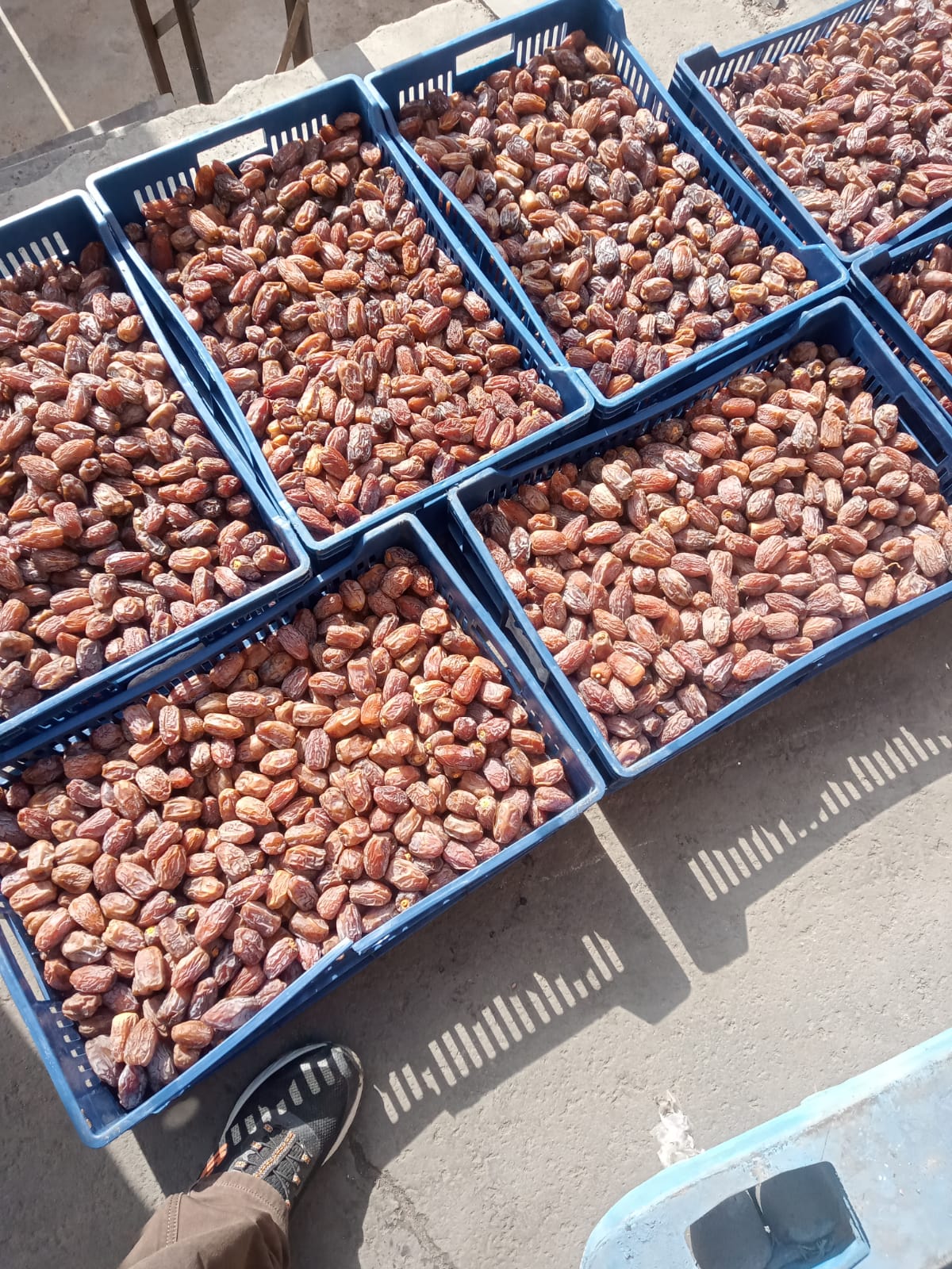 WhatsApp Image 2026-01-18 at 12.09.06 PM (1)