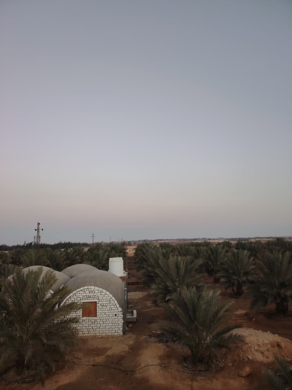 WhatsApp Image 2026-01-18 at 12.09.09 PM (4)