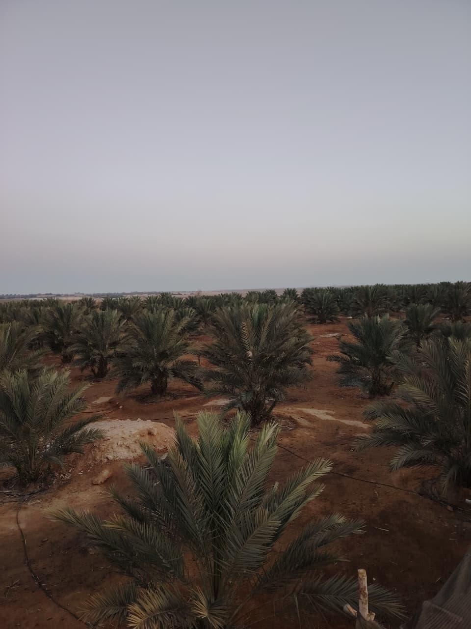 WhatsApp Image 2026-01-18 at 12.09.12 PM