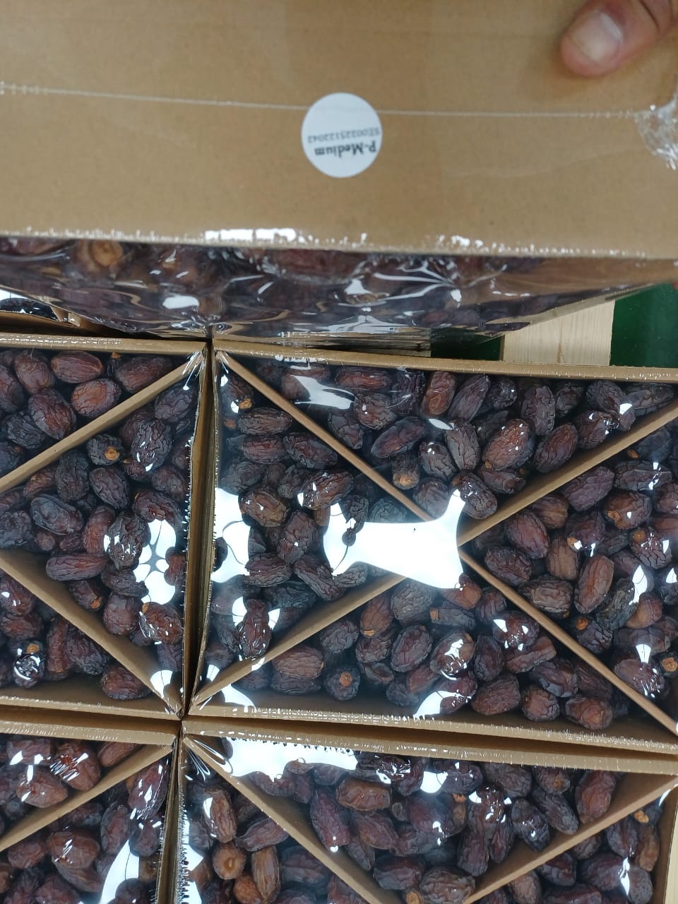 WhatsApp Image 2026-01-18 at 12.09.17 PM (1)