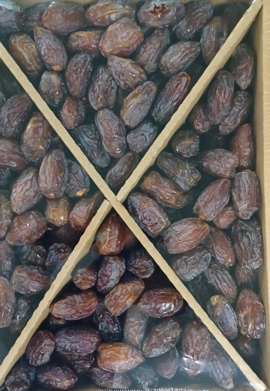 WhatsApp Image 2026-01-18 at 12.09.20 PM